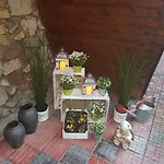 Grafit 홈스테이